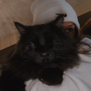 Meet your Posher, Annika